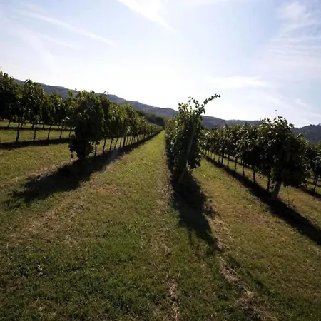 Heart Of Emilia-romagna Apartamento *