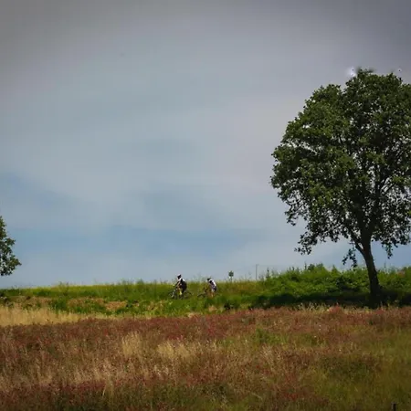 Appartamento Heart Of Emilia-romagna *