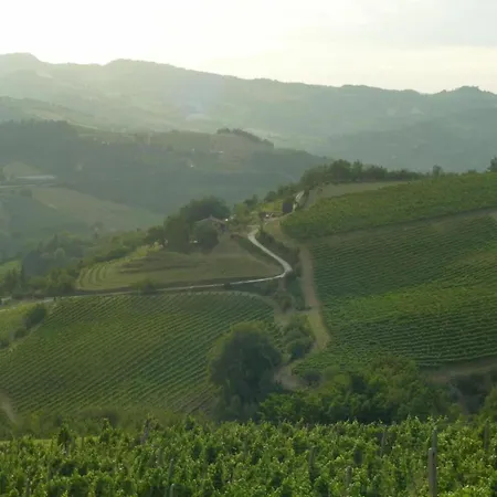 Heart Of Emilia-romagna Apartamento Modigliana