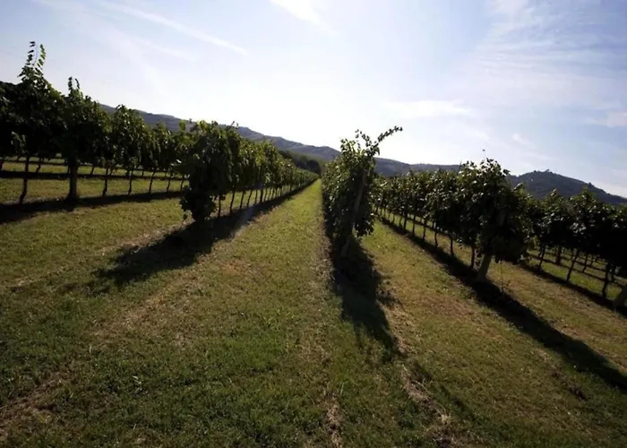 Heart Of Emilia-romagna Appartamento *