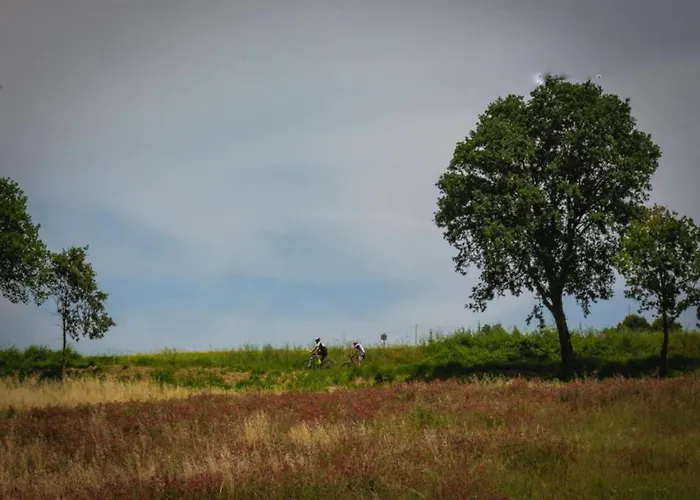 Appartamento Heart Of Emilia-romagna *